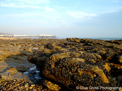 Beach Rock Ledge