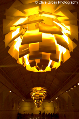 Brighton Museum hall roof