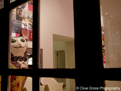 Brighton Museum shop window