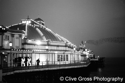 Starlings over Eastbourne Pier