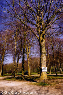 Wet Paint Tree sign