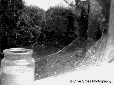 Great Dixter cobwebs