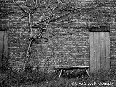Great Dixter bench