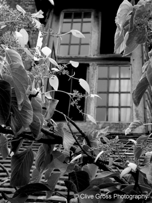 Great Dixter House windows