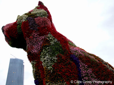 Guggenheim Museum Flower Puppy Bilbao