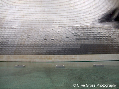 Guggenheim Museum Bilbao skin