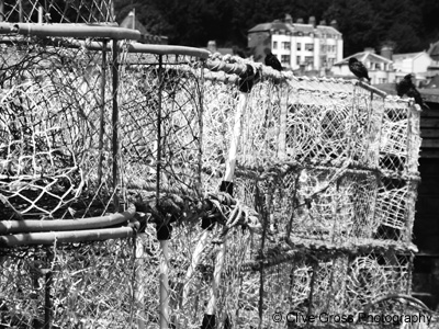 Lobster Nets The Stade Hastings