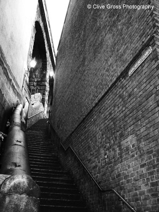 Dogleap Steps Newcastle