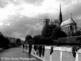 Notre Damme Cathederal dome