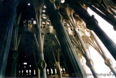 Segrada Familia Columns