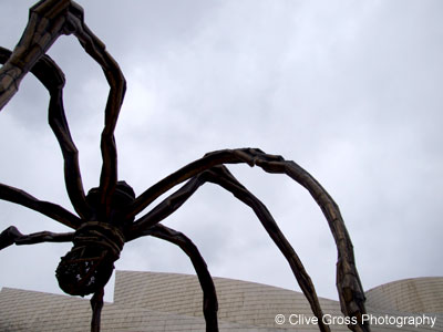 Guggenheim Museum Spider Bilbao