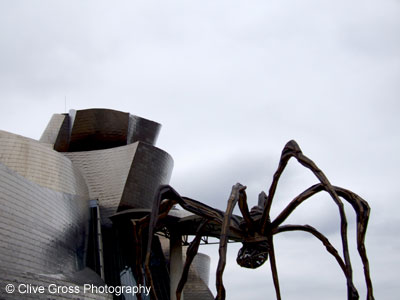 Guggenheim Museum Spider Bilbao