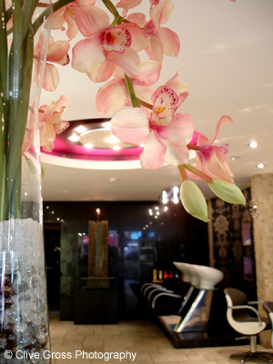 Stars Hair Salon