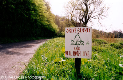 Toad Road Safety Sign