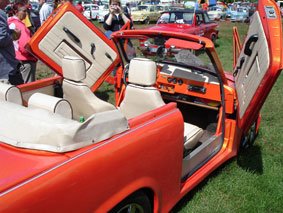 Trabant wing doors