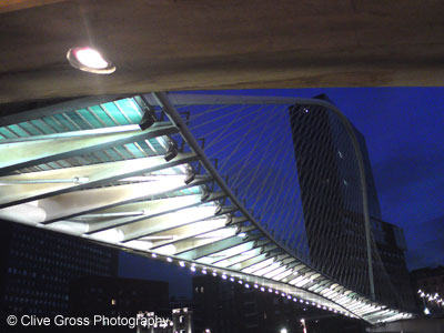 Zubizuri Bridge at Night Bilbao